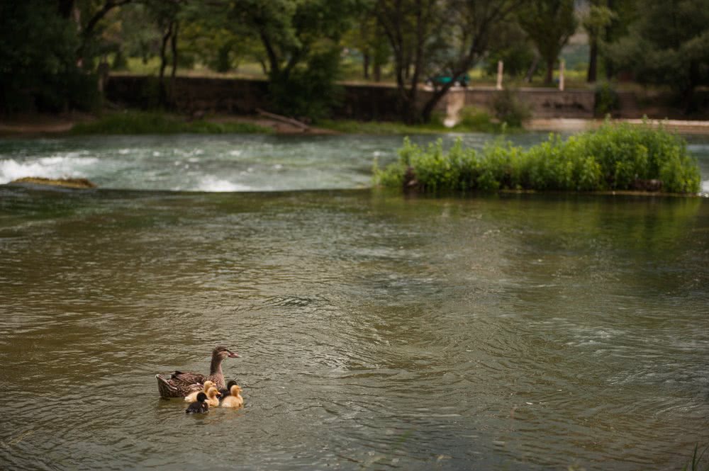 Blagaj - Fotografija Peta