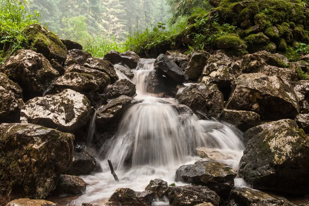 Parkovi prirode - Fotografija Peta