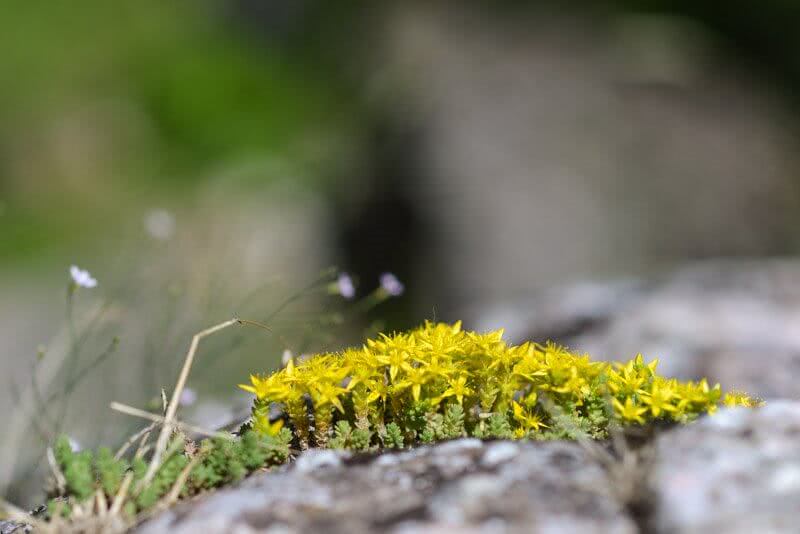 Planine - Fotografija Trinaesta