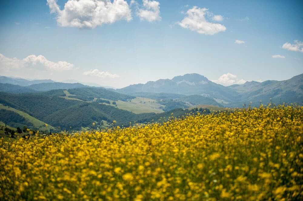 Planine - Fotografija Treća