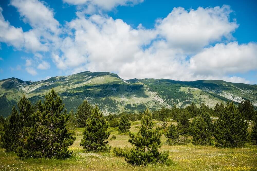 Planine - Fotografija Osma